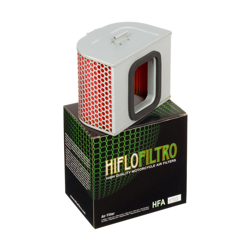 Filtro Aire Hiflofiltro Hfa1703