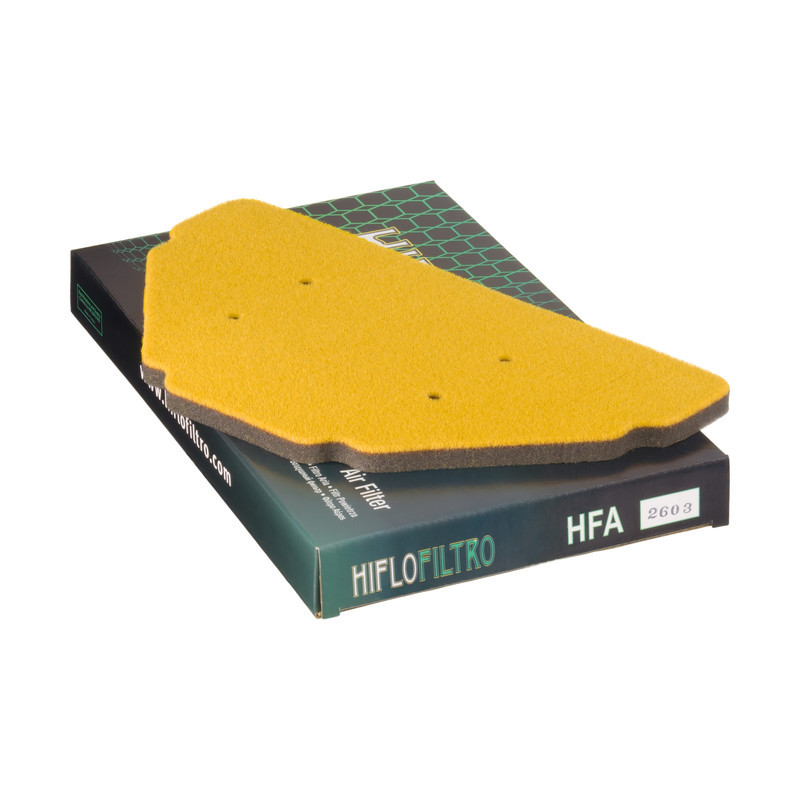 Filtro Aire Hiflofiltro Hfa2603