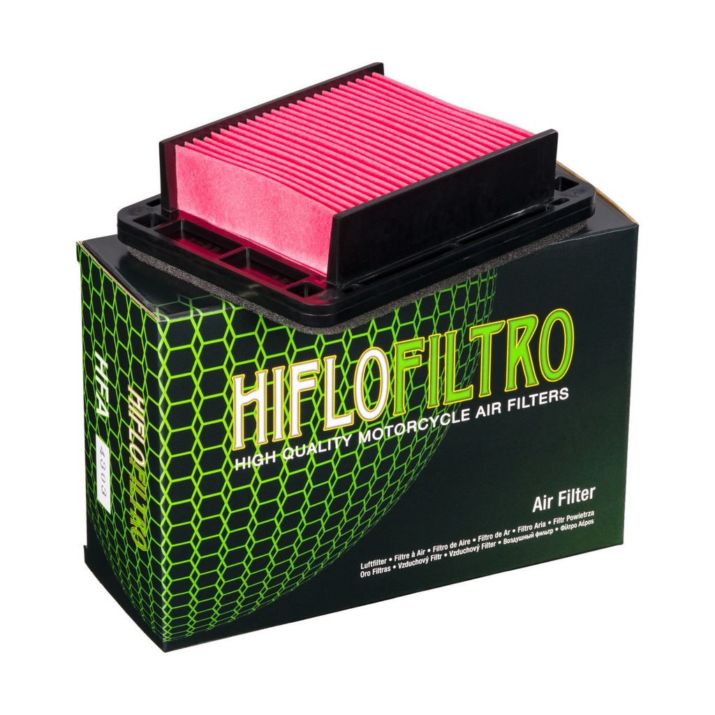 Filtro Aire Hiflofiltro Hfa4303