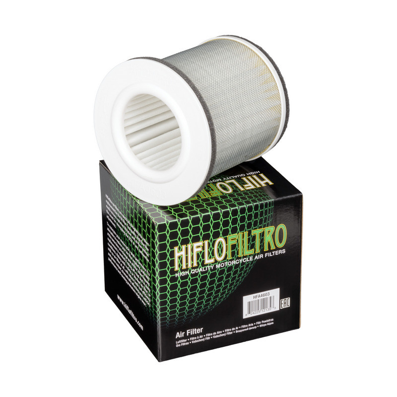 Filtro Aire Hiflofiltro Hfa4603