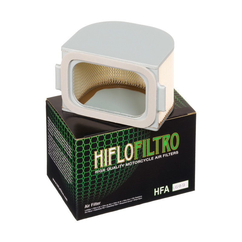 Filtro Aire Hiflofiltro Hfa4609