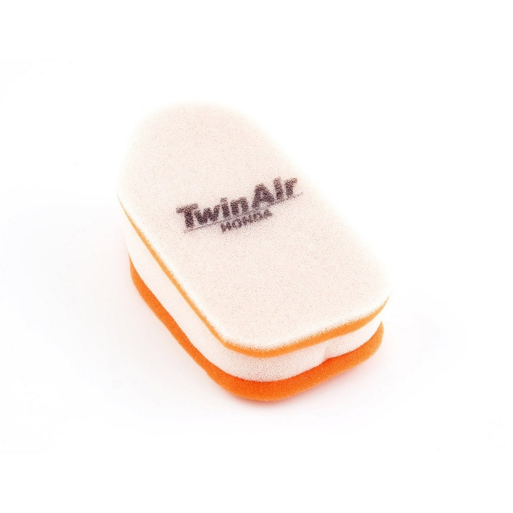 Filtro Aire Twin Air 150001