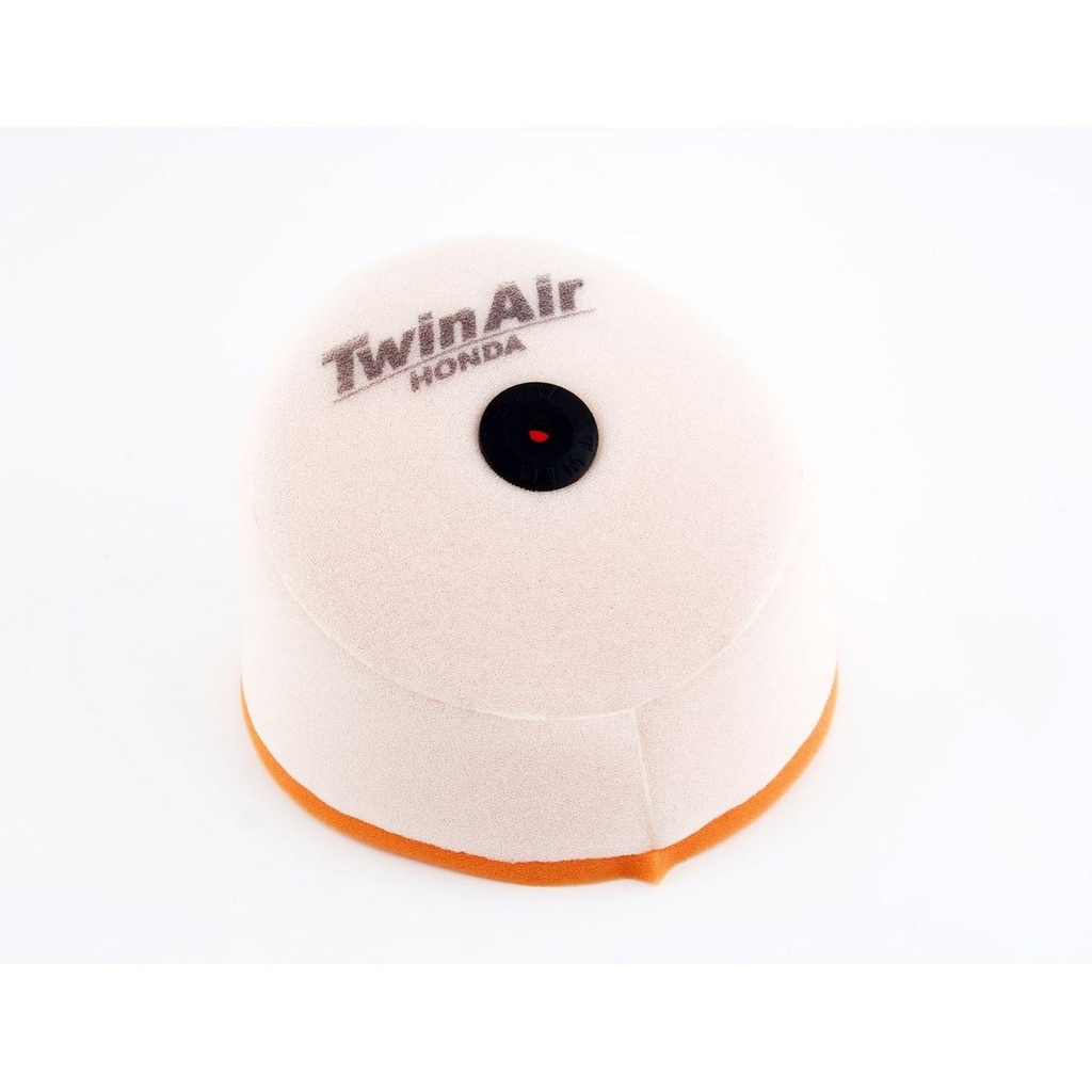 Filtro Aire Twin Air 150101