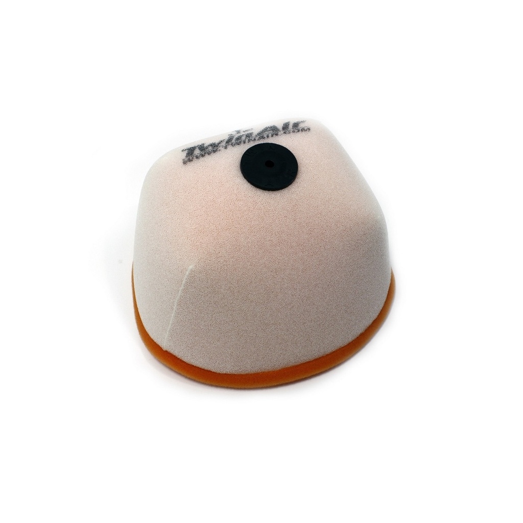 Filtro Aire Twin Air 150221