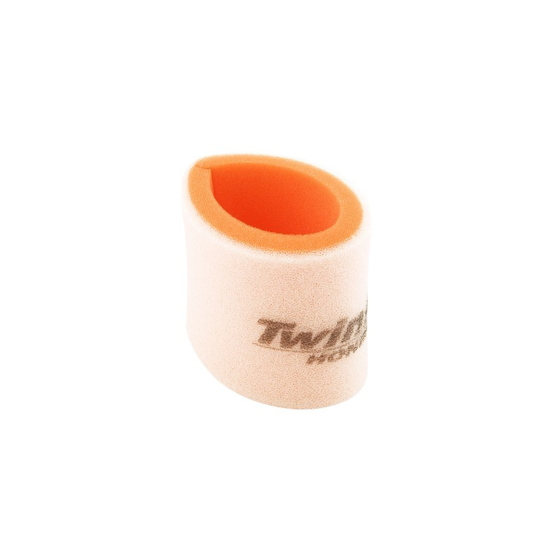 Filtro Aire Twin Air 150319