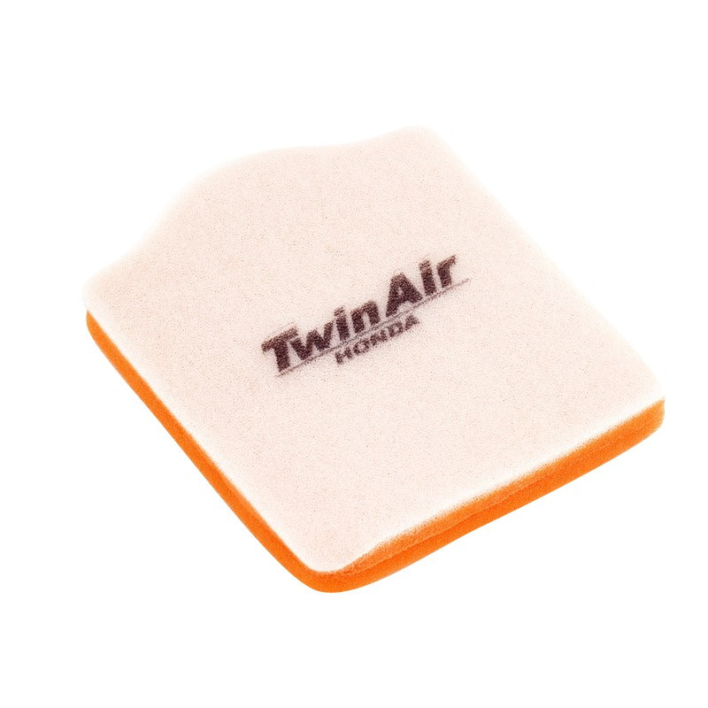 Filtro Aire Twin Air 150600