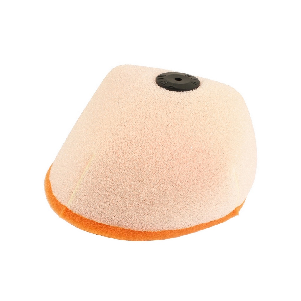 Filtro Aire Twin Air 151121