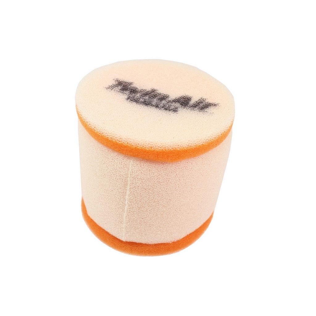 Filtro Aire Twin Air 152001