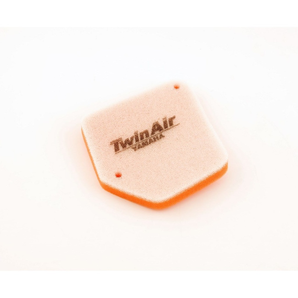 Filtro Aire Twin Air 152380