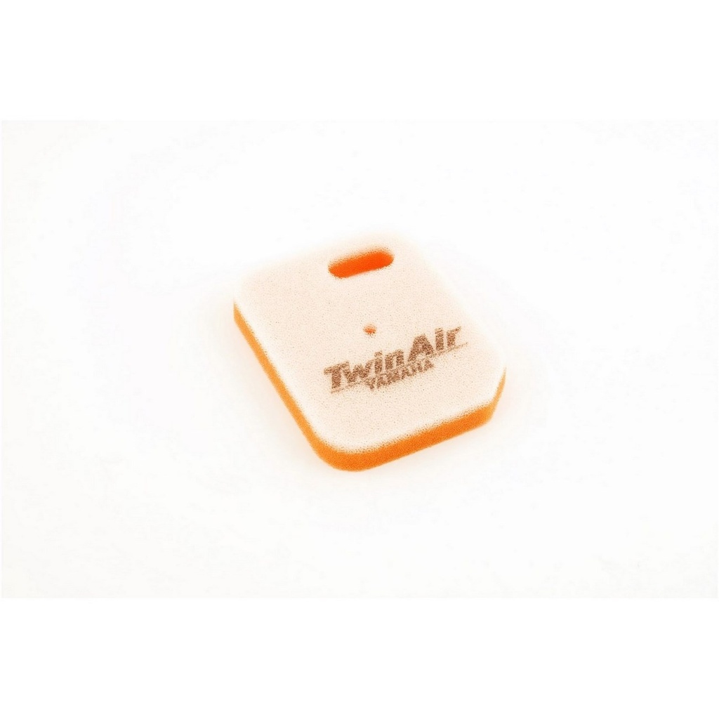 Filtro Aire Twin Air 152910
