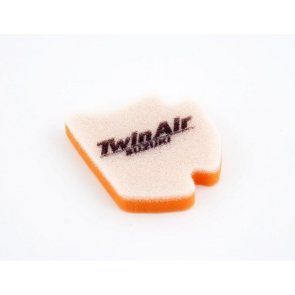 Filtro Aire Twin Air 153046