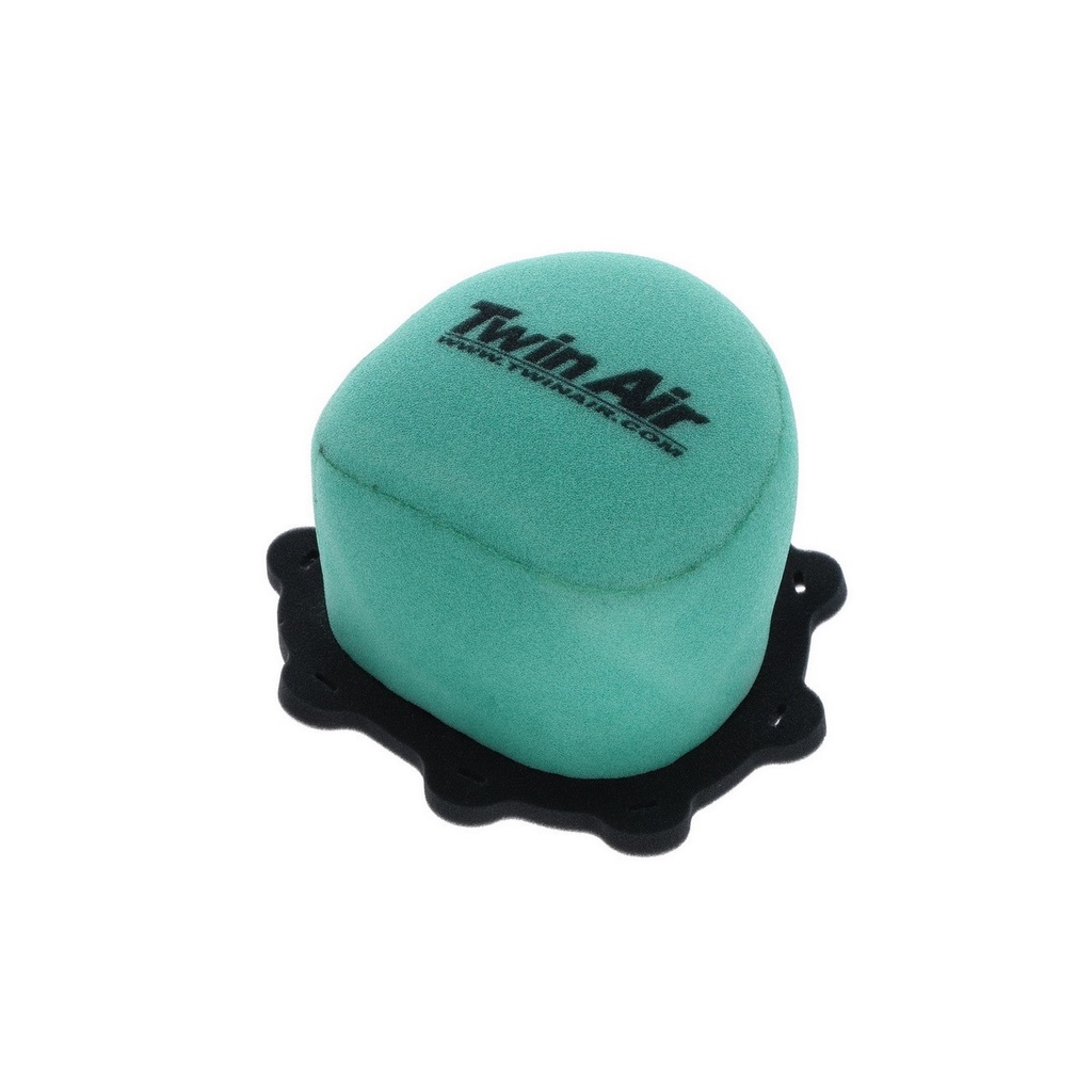Filtro Aire Twin Air 156024frx