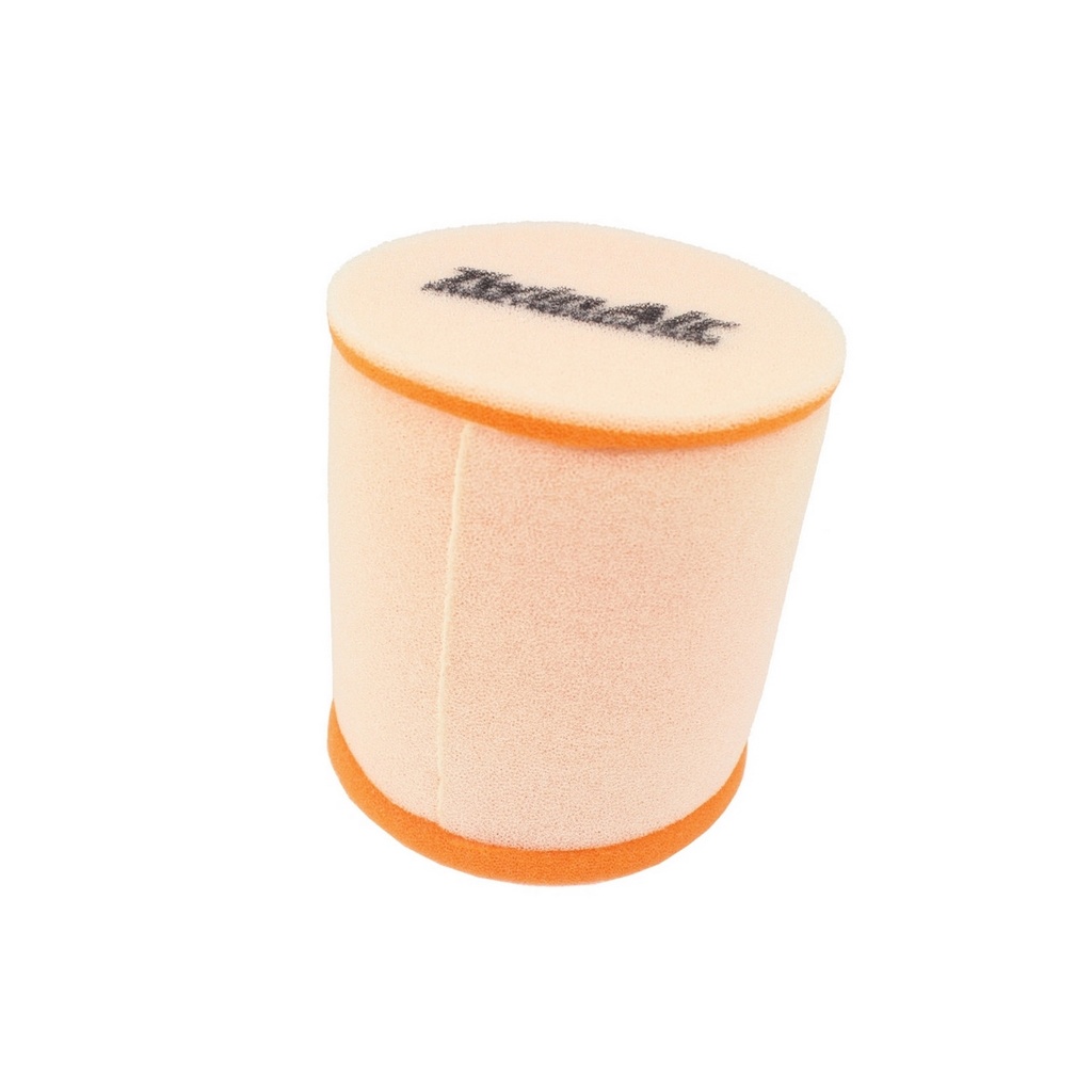 Filtro Aire Twin Air 157028