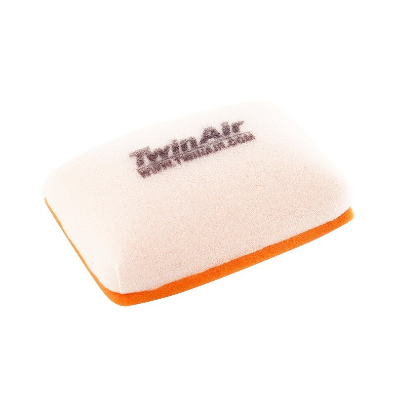 Filtro Aire Twin Air 157033