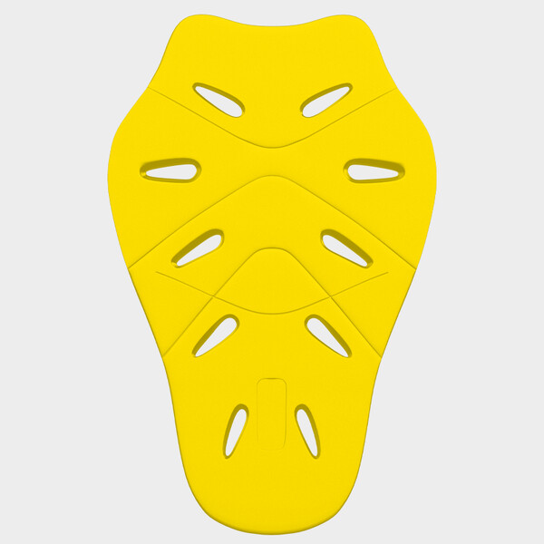 Protector LS2 BACK